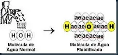 molécula_água