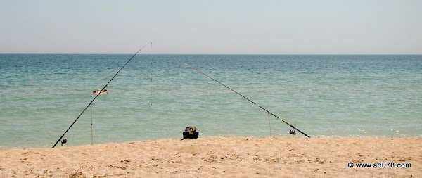 105.jpg
