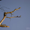 dsc02983.jpg