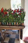 DSC01339.JPG
