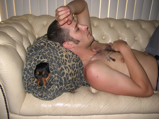 Cute+doggies+pictures