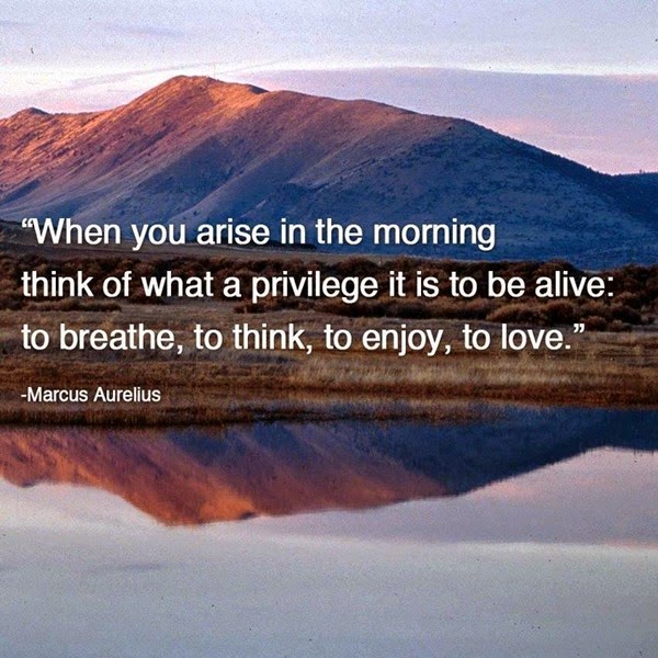 alive alive