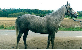 Lady 4 &aring;r