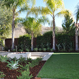 Low Maintenance Lawn