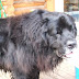 DSCF4362.JPG