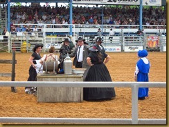 IMG_5502 IMG_5502
