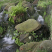 _MG_8111.jpg
