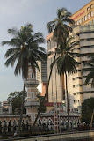 IMG_7849.jpg