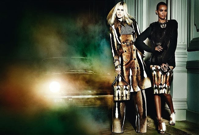 roberto-cavalli-3 roberto-cavalli-3