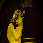 Document Name_3_336.JPG