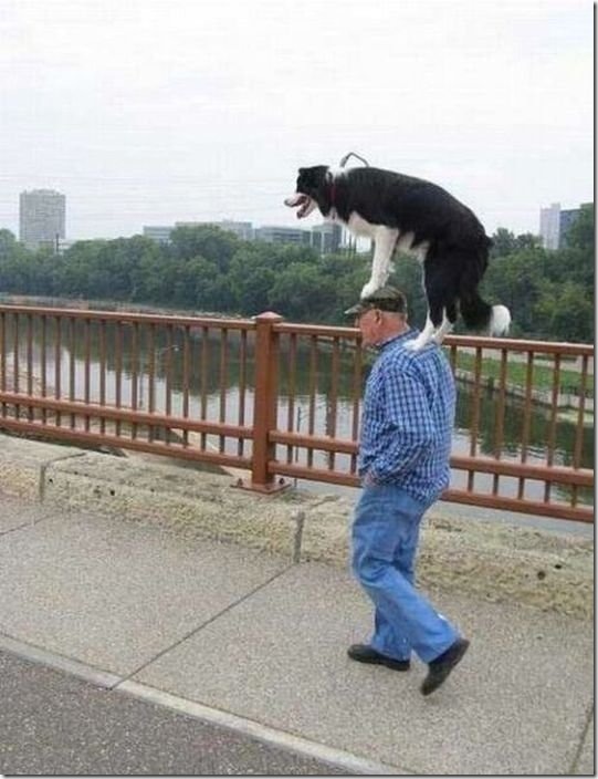 viral-picdump-pics-0394f3