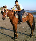 20012012264.jpg