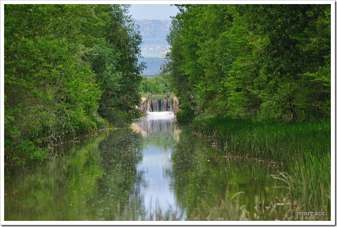 DSC_0814 DSC_0814