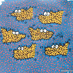 035 hairy fish.JPG