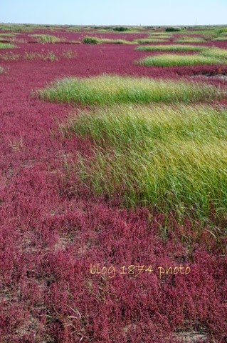 [SYG_4423%255B3%255D.jpg]