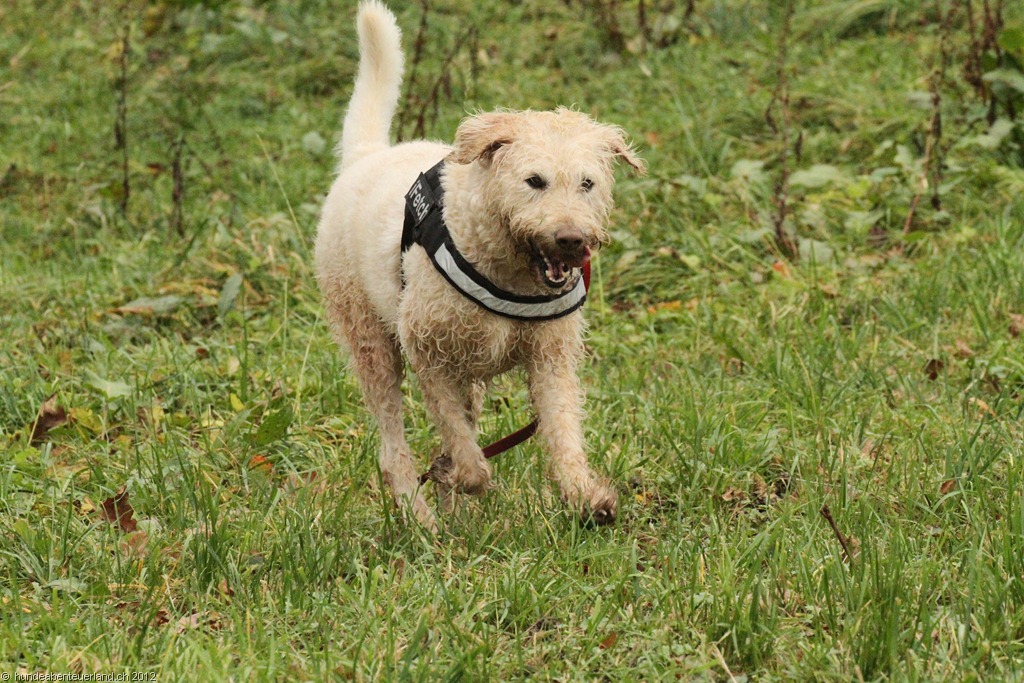 [IMG_5468%255B3%255D.jpg]