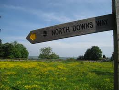 Beautiful Kent Countryside to Explore