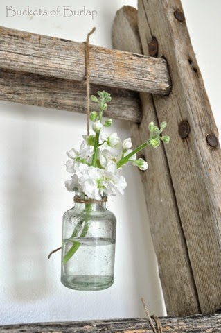 [Spring%2520Ladder%25203%255B4%255D.jpg]