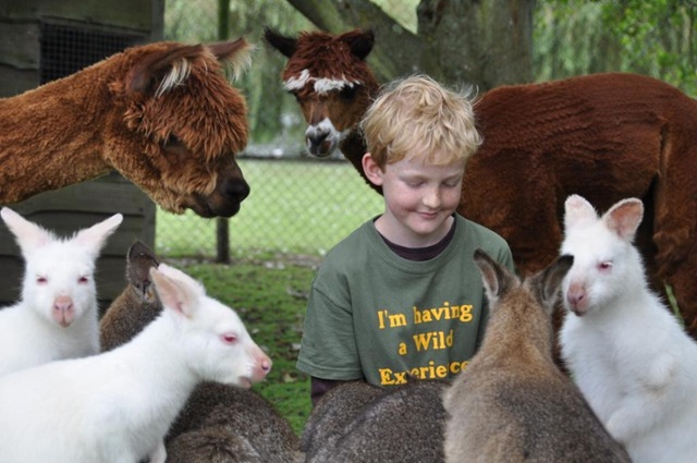 [JWE%2520banner%2520DSC_0635%255B9%255D.jpg]