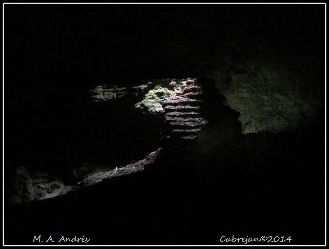 artea 095 artea 095