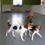 DSCN2536.jpg