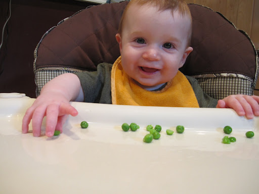 Almost 8 month old Simon is enjoying his steamed peas