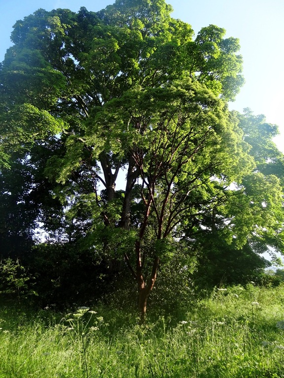 [DSC01036%255B3%255D.jpg]