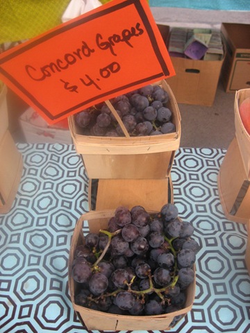 [concord%2520grapes%255B4%255D.jpg]