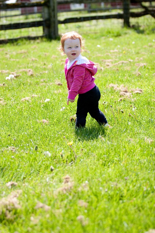 [20120506-IMG_29763.jpg]