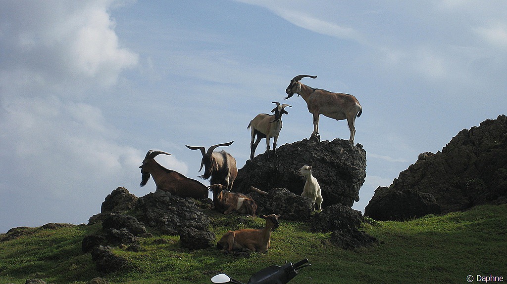 [312%255B5%255D.jpg]