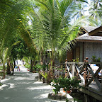 IMG_0384.JPG