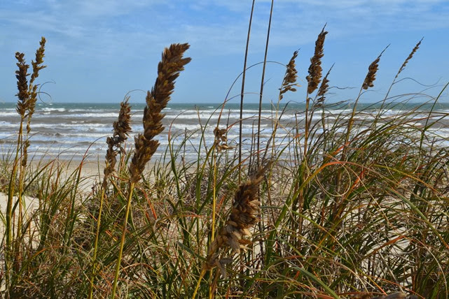 Padre Island_132