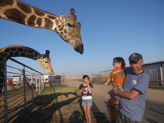 [IMG_8561%255B2%255D.jpg]