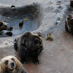 hokkaido_567.jpg