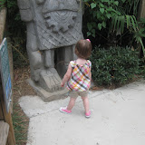 IMG_1793.jpg