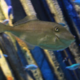 IMG_4813.JPG