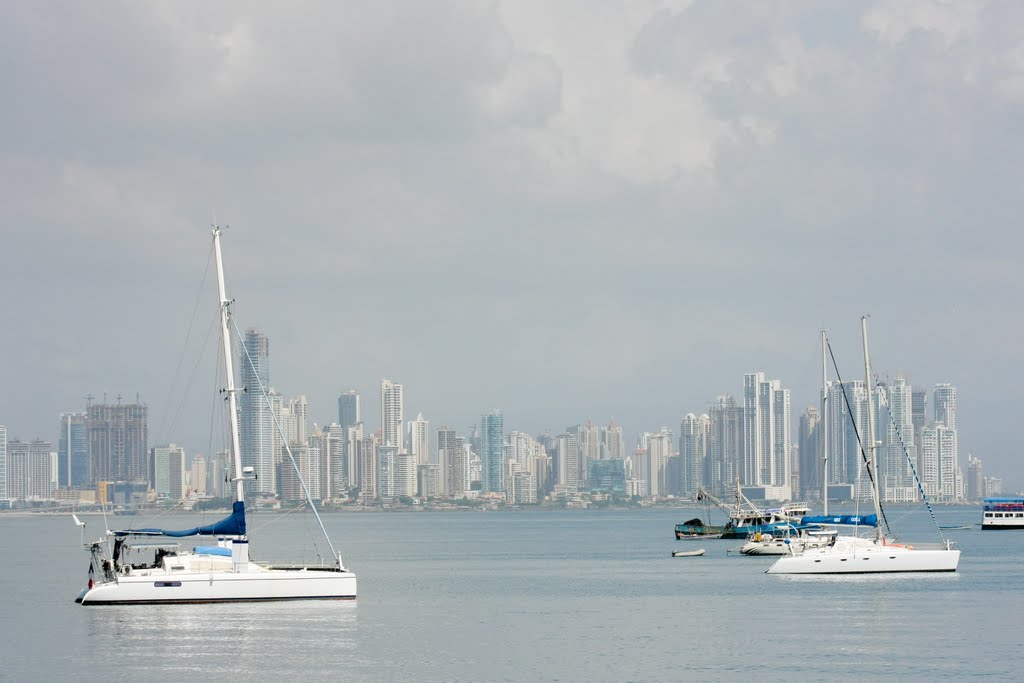 Ucsd Ship Insurance Phone Number