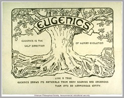 eugenia