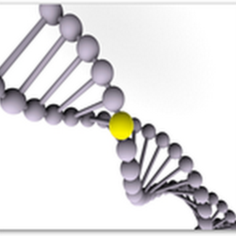 11 Year Old California Student Ordered to Transfer From His Current School Because of His Genetic Makeup–Carries Mutation for Cystic Fibrosis–Where’s GINA?
