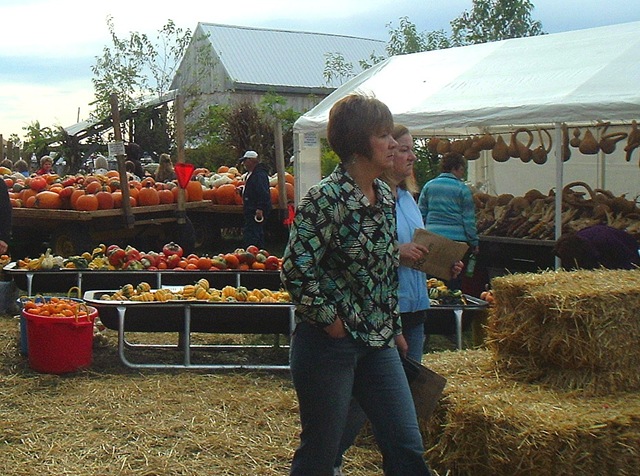 [BWF_Pumpkins2%255B3%255D.jpg]