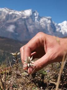 PA031863_thumb.jpg
