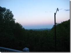 IMG_5331