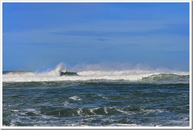 DSC_1644 DSC_1644
