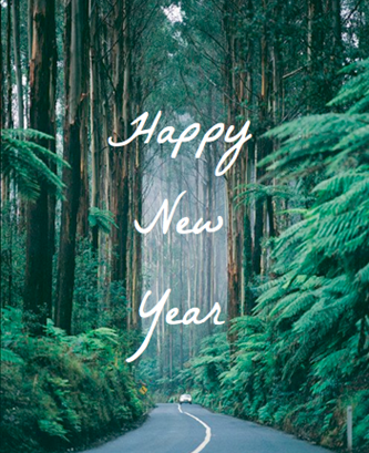hny3