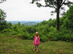 IMG_6185 IMG_6185