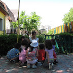 IMG_1592.jpg