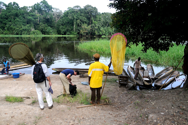 Départ pour la prospection. Ebogo (Cameroun), 23 avril 2013. Photo : Daniel Milan