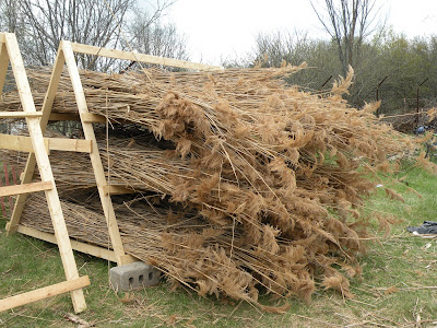 Reeds for the entry roof, Ontario's first thatch roof.<br />
MVG©