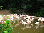 IMG_2554.JPG