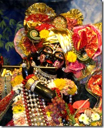 Lord Krishna